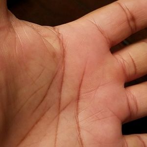 Meet your Posher, Iris